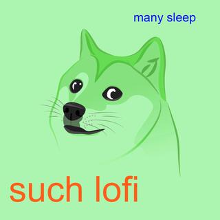 such lofi many sleep