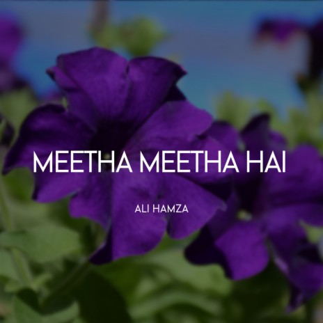 Meetha Meetha Hai | Boomplay Music