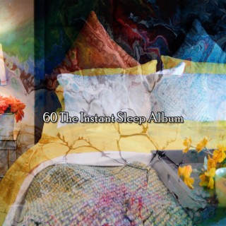 60 The Instant Sleep Album