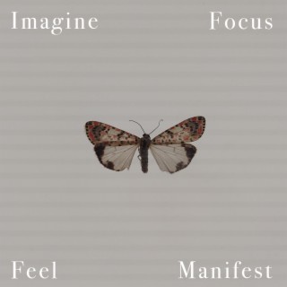 Imagine, Focus, Feel, Manifest