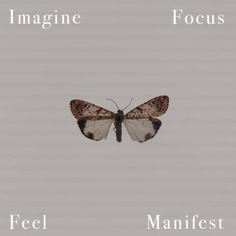 Imagine, Focus, Feel, Manifest | Boomplay Music