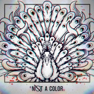 Not a Color