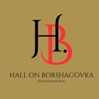 HALL ON BORSHAGOVKA