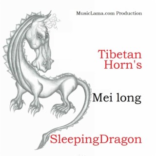 Mei long Tibetan Horn's Sleeping Dragon