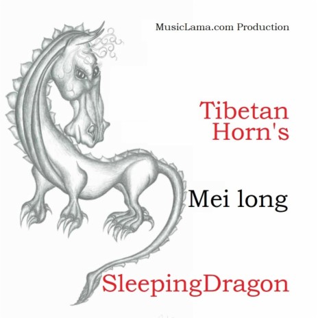 Mei long Tibetan Horn's Sleeping Dragon | Boomplay Music
