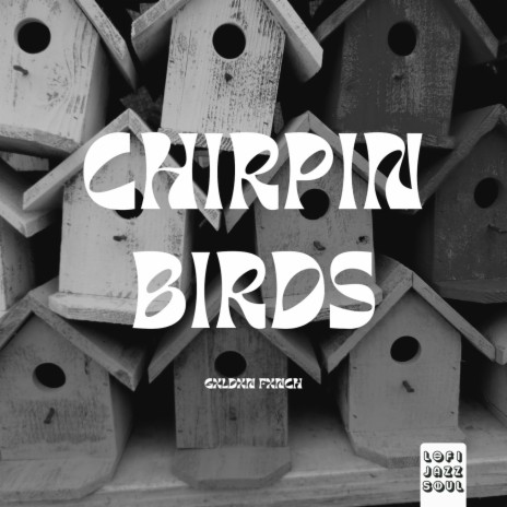 Chirpin Bird | Boomplay Music