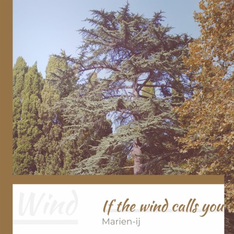 If the Wind Calls You | Boomplay Music