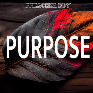 Purpose (Hip Hop Mix)