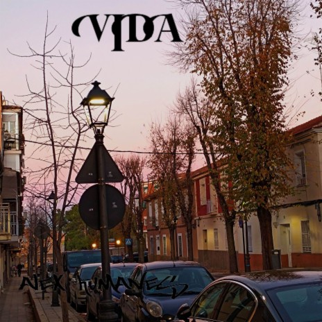 VIDA | Boomplay Music