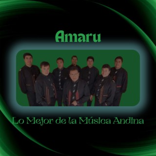 Lo Mejor de la Música Andina