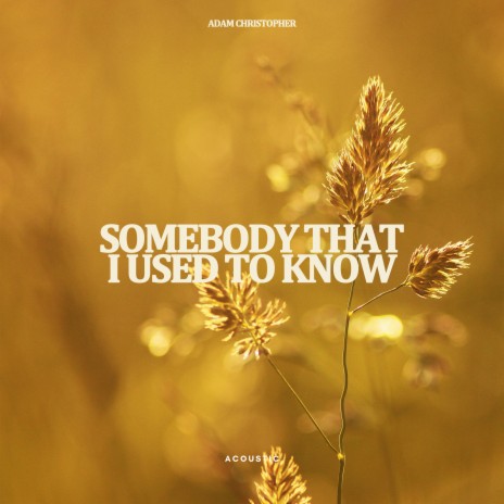 Somebody That I Used to Know (Acoustic) | Boomplay Music