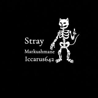 Stray