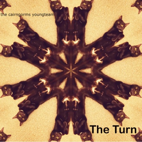 The Turn | Boomplay Music