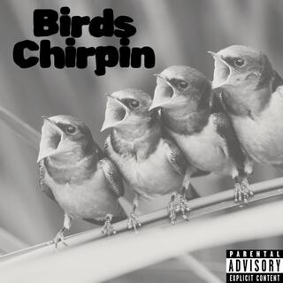 Birds chirpin