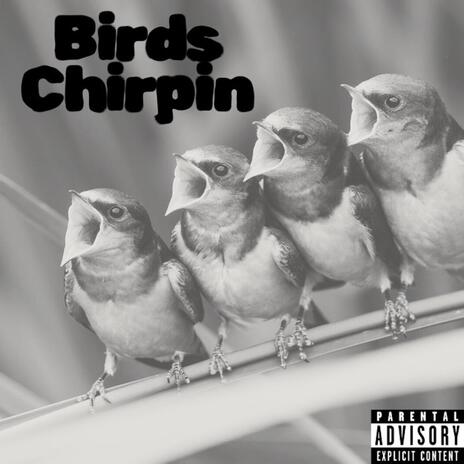 Birds chirpin | Boomplay Music