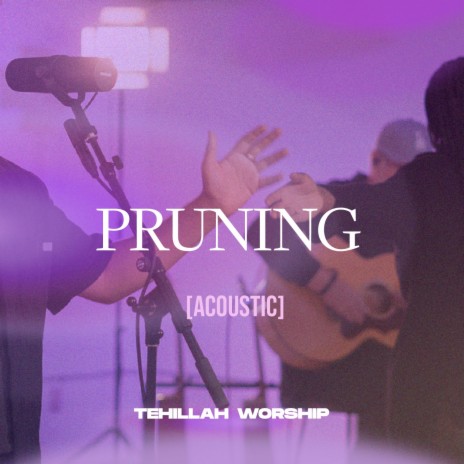 Pruning [Acoustic] | Boomplay Music