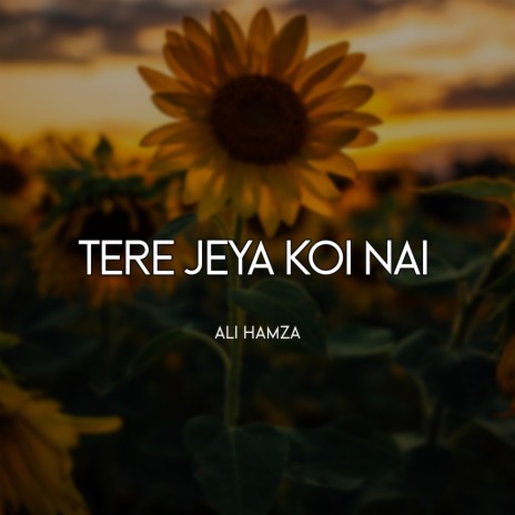 Tere Jeya Koi Nai | Boomplay Music