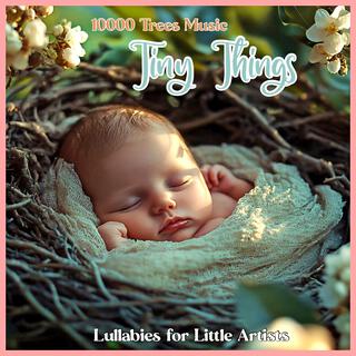 Tiny Things (Lullabies for Little Artists) lyrics | Boomplay Music