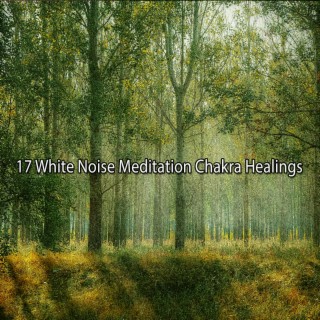 17 White Noise Meditation Chakra Healings
