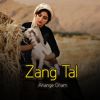 Zang Tal