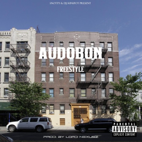 AUDOBON FREESTYLE | Boomplay Music