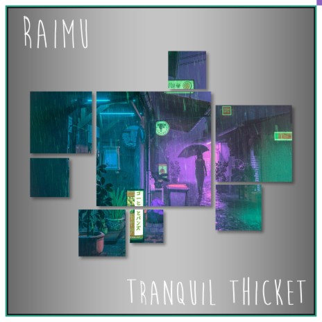 Tranquil Thicket | Boomplay Music