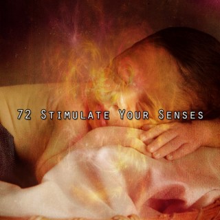 72 Stimulate Your Senses