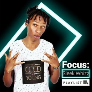 Focus: Sleek Whizz