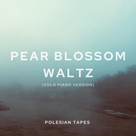 Pear Blossom Waltz (Solo Piano) | Boomplay Music