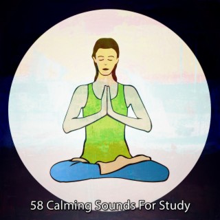 58 Calming Sounds For Study