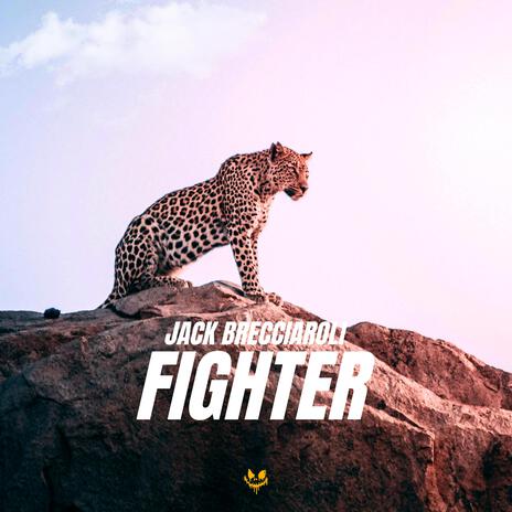 Fighter - instrustmental | Boomplay Music