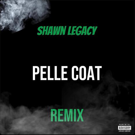 Pelle Coat | Boomplay Music