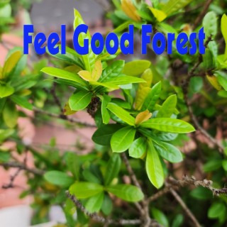 Feel Good Forest