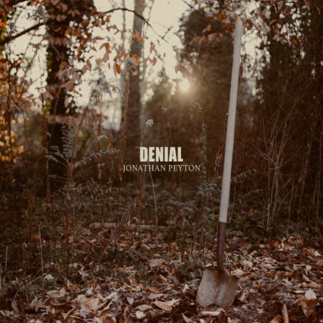 Denial | Boomplay Music