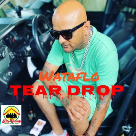 Tear Drop | Boomplay Music