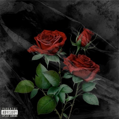 100 Roses (Remix) ft. laicositna | Boomplay Music