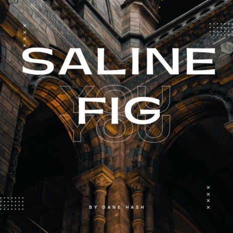 Saline Fig | Boomplay Music