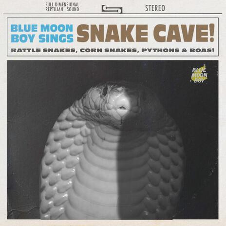 Snake Cave