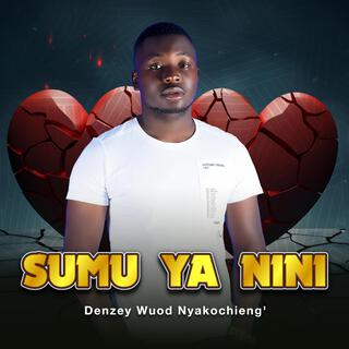 Sumu Ya Nini