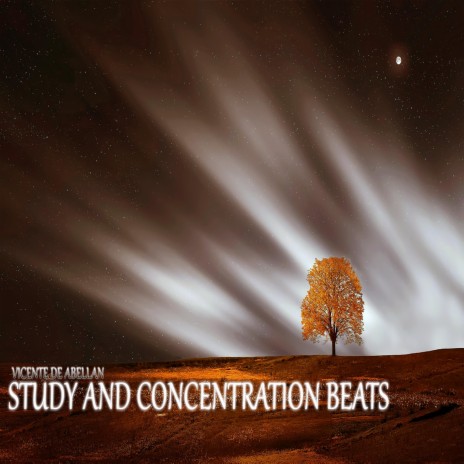 Study and Concentration Beats Five | Boomplay Music