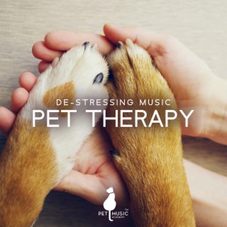 De-Stressing Music Pet Therapy: Calm Your Pets with Piano Sounds, Anti-Stress Music for All Animals