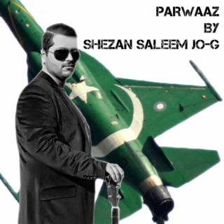 'Parwaaz' Tribute to Pakistan Airforce