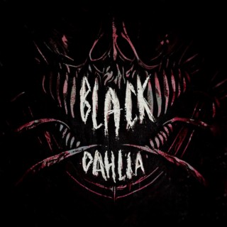 Black Dahlia ft. REZAFACE lyrics | Boomplay Music