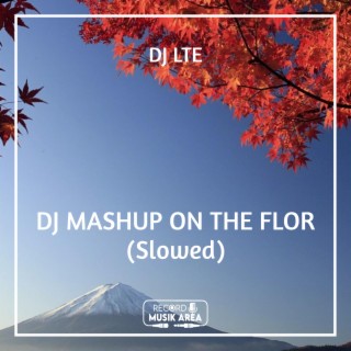 DJ MASHUP ON THE FLOR (Slowed)