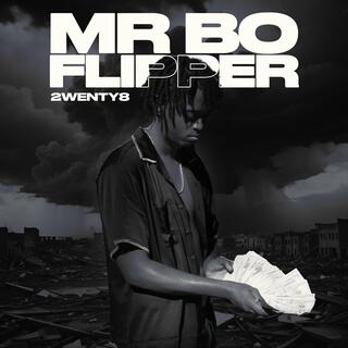 Mr Bo Flipper