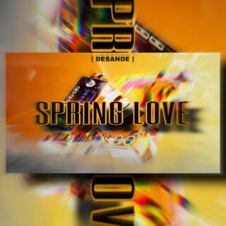 MEGA FUNK SPRING LOVE