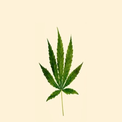 Weed expression | Boomplay Music