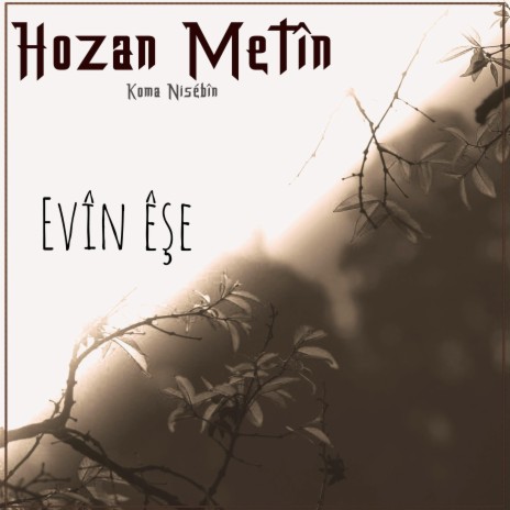 Evin eşe (Evin êşê evîn jan) | Boomplay Music