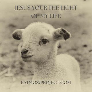 Jesus your the light of my life