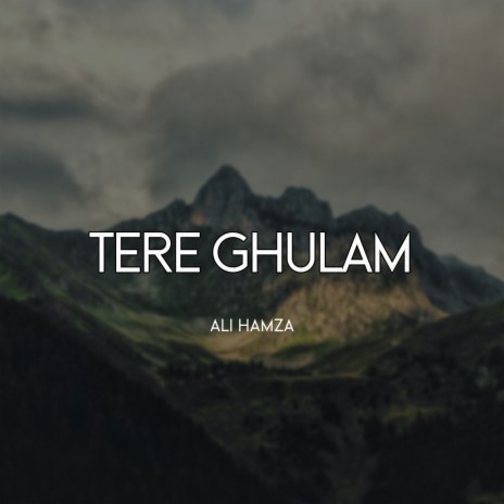 Tere Ghulam | Boomplay Music